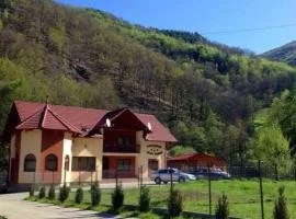 Pensiunea Silva Dobra