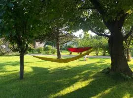 Galeria In The Garden