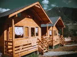 Mountain Cabins