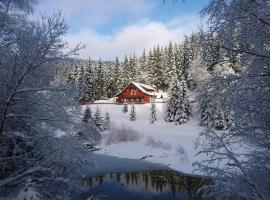 Jezírko lesní restaurant & penzion, hotel em Jáchymov