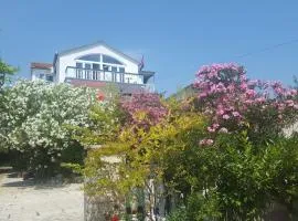 Oleander Apartment in Pakoštane