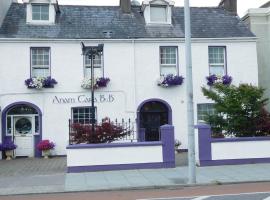 Anam Cara B&B, B&B in Cork