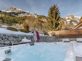 Les Edelweiss Mont-Blanc - Gîte Classé 3 Etoiles, skijalište u gradu 'Passy'