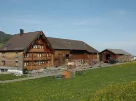 Ferienwohnung Brülisauer