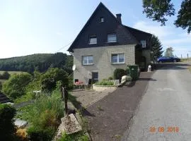 Haus-Panoramablick