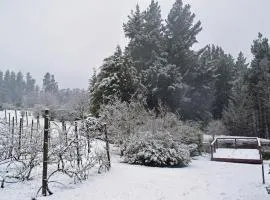Windrush on Hogsback