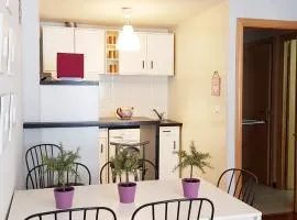 Vivienda Turística Pirineos XXI