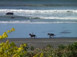 49 on Jans Beach Break, hotel in Oakura