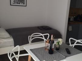 Apartament Fibra Cortado – obiekty na wynajem sezonowy w Rybniku