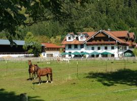 Gutshof zum Schluxen, hotel with parking in Pinswang