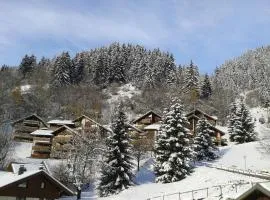 La Plagne/Champagny Studio