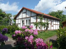 Bachenbrock에 위치한 가족 호텔 Ferienhaus Kogge im Feriendorf Alt