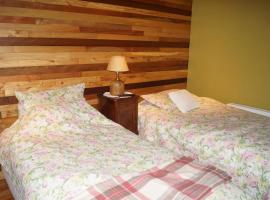 frente al multicine, hotel in Frutillar