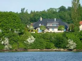 Fischreiher 1