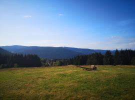 La Ferme Du Levant, готель у місті Жерарме