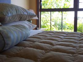 Hawkdun Rise Vineyard & Accommodation, vacation rental in Alexandra