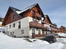 Apartmán Vítkovice