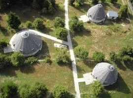 Theasis-Igloo