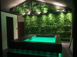 Loft piscine et spa provence