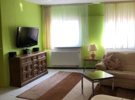 einfache Monteurwohnung mit WLAN und Sat Tv, Netflix, holiday rental in Frankweiler