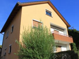 Apartments Mosbach, cheap hotel in Mosbach