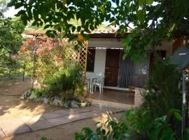 Case 800 mt dal mare - Casa Flora e Casa Aurora