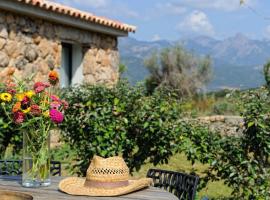 Clos Simoni, country house in Figari