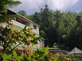 Alishan Mao Hsin, homestay di Fenchihu