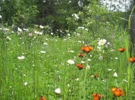 Wild Nature B&B