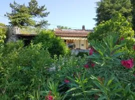 Rêve de Provence Villa avec jardin et piscine