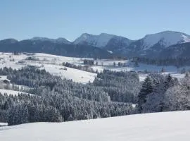 Ferienwohnung Nagelfluh Allgäu