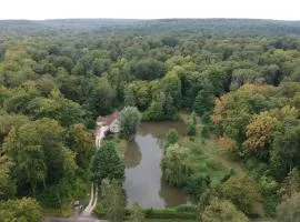 Nid dans la forêt