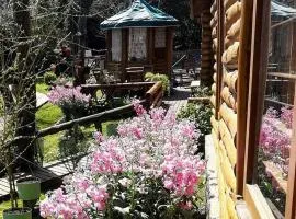 Cabañas Tehuel