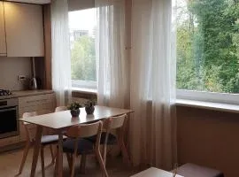 Apartamentai Vilniaus Street