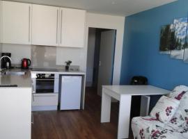 Appartement 250 mètres des pistes gourette, hotel em Gourette