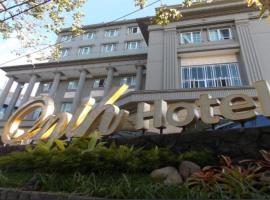 Onih Hotel，茂物的飯店