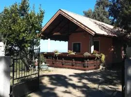Kallista 1