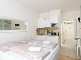 Cozy studio with parking near city center