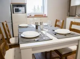 Sunny Aircon Apartment in the Centre of Slaný