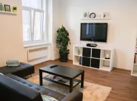 Sunny Aircon Apartment in the Centre of Slaný