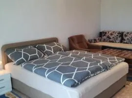 Prenociste Orhideja