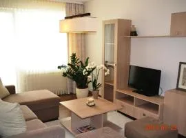 Apartamentai Dainų