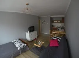 Mieszkanie w centrum