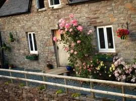 Llwyn Llwyd Cottage