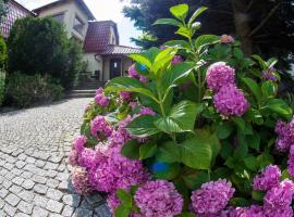 Villa Jaśmin, hotel u gradu Zjelona Gora