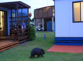 BIG4 Kelso Sands Holiday & Native Wildlife Park, hotel a prop de Badgers Beach, a Kelso