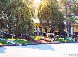 The Pines Country Inn, hotel v destinaci Newcastle
