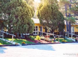 The Pines Country Inn, motel di Newcastle