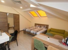 Sofia Family House - Free Parking, guest house in Sofia