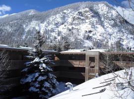 Heart of Frisco Condo，弗裏斯科的分租公寓